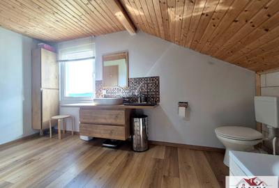 Casa in Muntii Apuseni cu 114.144 mp teren - 7