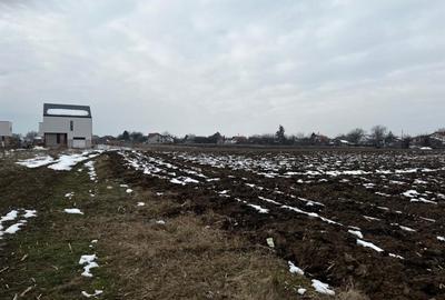 Tamasi -strada Livezilor - 2