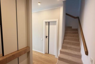 Penthouse la prima inchiriere str C Brancusi - 9