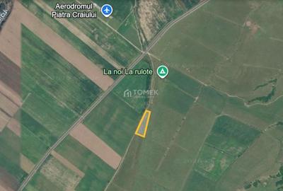 Teren de investiție în zona Tohanul Nou - Bran  5.800 mp - 19