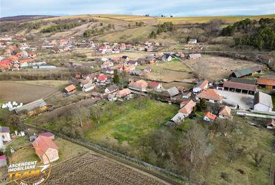 FILM! 5.000mp teren intravilan cu casuta rustica, Dalnic, Covasna - 15