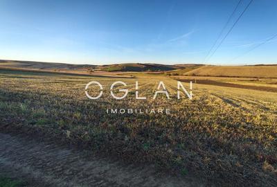 Teren intravilan cu PUZ pentru investitie - 49€/mp - Sura Mare - 5
