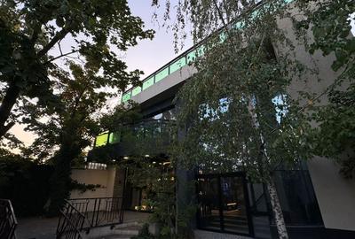 REV0005724 Vila 8 camere I Lift 13 Persoane I 9 Parcari I Rezidential I Comercia - 2