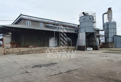 SPATIU INDUSTRIAL cu 3 hale si depozite acoperite - 5
