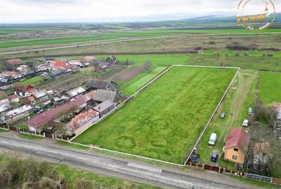 FILM!Potential rezidential/ investitional: 8.000 mp intravilan construibil, Sanz - 14