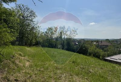 Casă individuală nouă de vânzare în Răscruci - 13