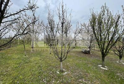 Teren Intravilan I 24 Ari I Suceava/Lisaura 10.000E/Ar - 24