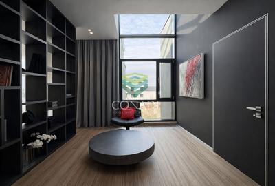 The american dream | zona Ambasadei Americii - 5