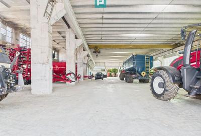 Complex industrial cu hale și teren  în Orțișoara - 1