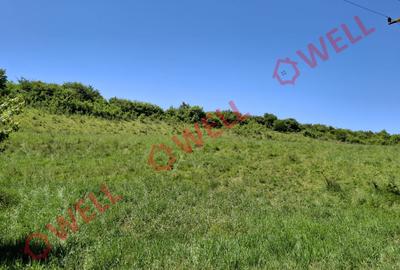 De vânzare teren intravilan de 30 000 m² (3 ha) în Reghin - 15