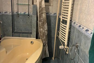 Decebal -Rond Alba Iulia -contract ANAF-pet friedly - 16