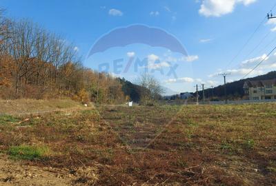 Teren intravilan de vanzare in Hidiselul de Jos, jud.Bihor - 9