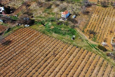 Investiție rară în Bihor - 7