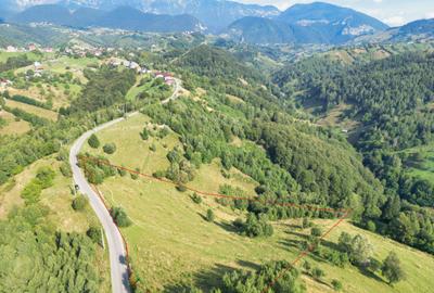 Teren intre 7000 si 21000 mp in zona Pestera-Moieciu, la 5 km de Bran