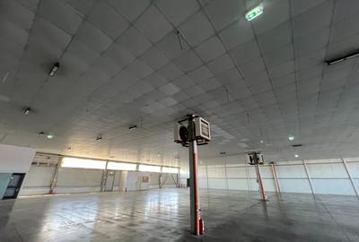 Spațiu industrial disponibil pentru închiriere în Timișoara, Calea Lugojului - 4