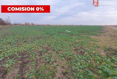 Comision 0% Teren extravilan agricol 21,32 ha sau intravilan cu PUZ aprobat - 7