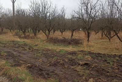 De vânzare terenuri intravilane - 5