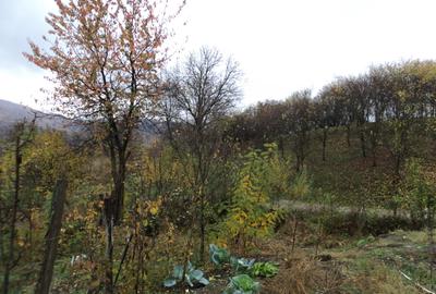Casa cu 350 mp teren, la 5 km de oras - 10