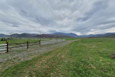 Teren Rasnov – Glajariei zona de case - 3