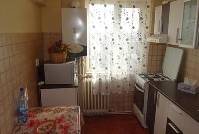 Vand apartament 2 camere in Deva, zona ITM, decomandat, suprafata utila 47 mp, - 4