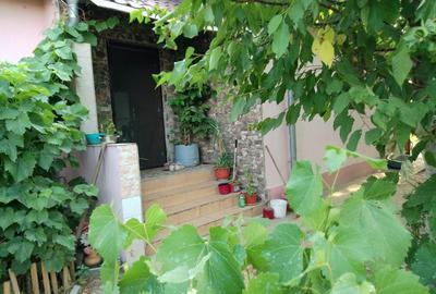 Proprietar vind sau  schimb casa Bordei - 1