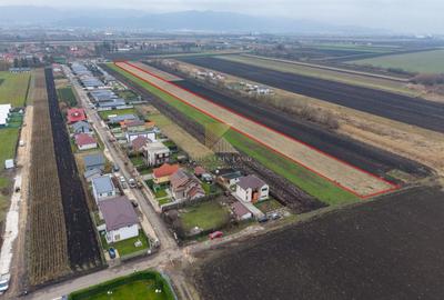 Loturi de teren, suprafete intre 467 si 535 mp, PUZ, Stupini, Albinelo - 1