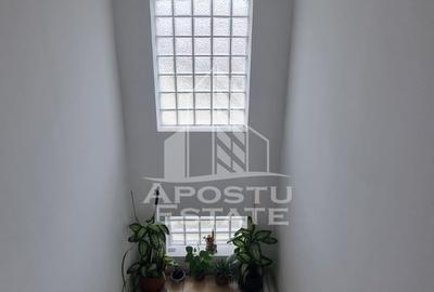 Casa individuala, oportunitate de investitie, Dudestii Noi, jud. Timis - 8