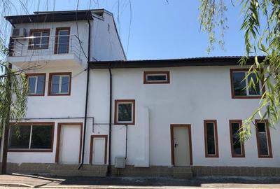 Casă individuală cu 10 camere în Doamna Ghica