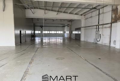Spatiu industrial  zona Selimbar Sibiu - 9