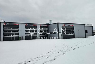 Service auto cu showroom si linie ITP, Cisnadie - 7