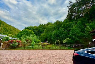 Casa de vacanță sau pensiune | Bâtca Doamnei | Teren în natură - 14