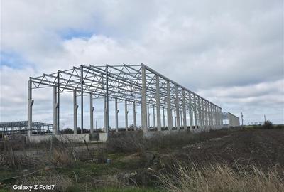 Vanzare depozit/hala/spatiu industrial Mogosoaia - Buftea - 4