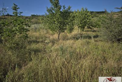 Teren intravilan 2500 mp de vanzare in Ciugud - Teleac - 3