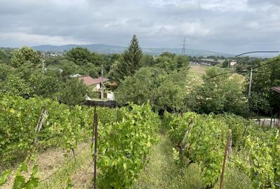 Teren 1000mp(impartit in 2 loturi) deschidere 28m Blejoi,vedere superba - 3