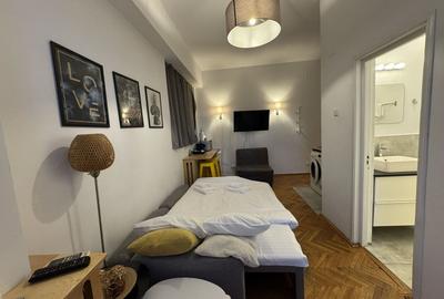 Garsoniera cu terasa de vanzare in *Piata Unirii* - 6