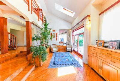 Vila/Proprietate Speciala, 500mp utili, 3300mp teren, Sangeorgiu de Ms - 6