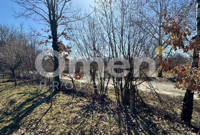 Teren intravilan | Berința | 5800 mp - 7