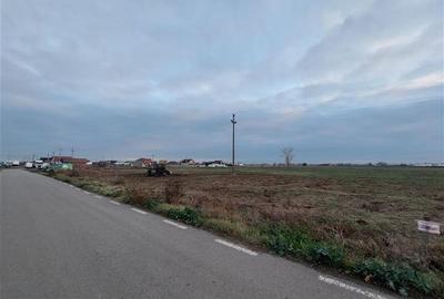 Teren pentru proiect rezidential sau industrial in Sanpaul - 4