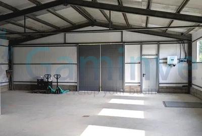 Hala de procesare cu camere frigorifice, Beius,Bihor A2465 - 1