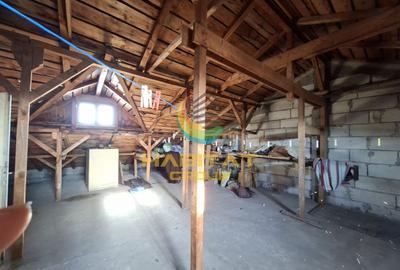 Vilă P+1+M cu Demisol 345 mp Garaj | 2019 | 20 min Metrou Brâncoveanu - 17