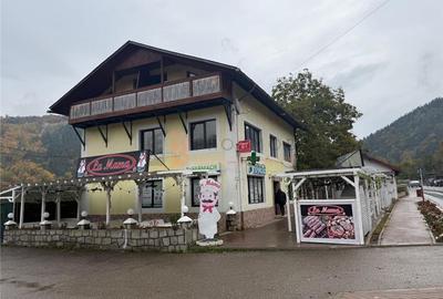 EXCLUSIVITATE! Pensiune  pretabil Spatiu comercial P+1+M  zona Siriu - 1