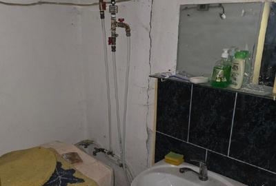 Proprietar unic vând direct, casă/gospodărie completă în comuna Adâncata, IL - 13