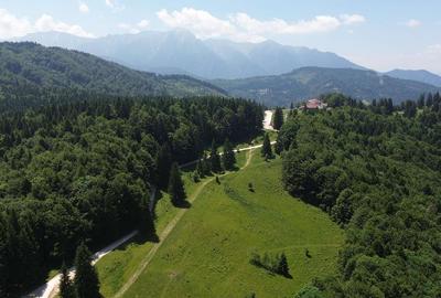 PREDEAL - Teren intravilan 6,000 m² -Poiana Secuilor - 2