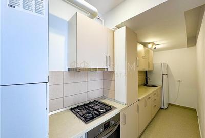 Apartament de inchiriat 2 camere Herastrau - 12