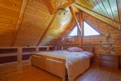 Vilă în zona Glăjărie, 10 camere, Sp + E + M, teren 2789 mp - 29