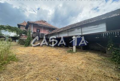 Casa 3 Camere + Teren aferent (5385mp) si Anexe, Balcesti - 3
