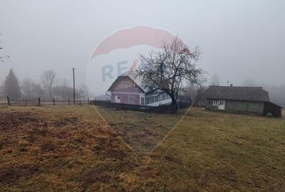 Teren INTRAVILAN 23.238m.p. Dorna-Arini / Cozănești - 10