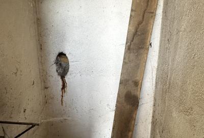 Vanzare Casa P+M Ampoi 3 Garaj 320 mp Teren Imprejmuita la asfalt Pozitie Firma - 11