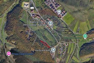 Teren extravilan de pădure,  Florești - 1