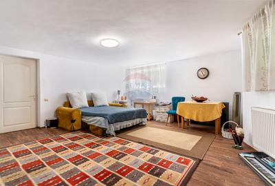 Proprietate generoasă în Gruia, teren 657 mp, zonă liniștită - 10
